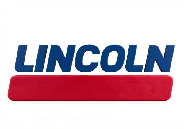 Lincoln 1335 Lever-Action Fluid Transfer Pump, Fits 16- to 55 Gallon Drums, 8.5 Fl. Oz. Per Stroke, 2" Bung, Brass Rings, 6' Removable Hose, Steel Outlet Nozzle, Check Valve, Multi-position Handle-6
